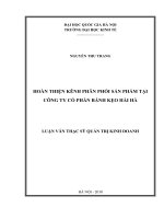 Hoàn thiện kênh phân phối sản phẩm tại Công ty Cổ phần Bánh kẹo Hải Hà : Luận văn ThS. Kinh doanh và Quản lý: 60 34 05