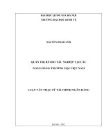 Quản trị rủi ro tác nghiệp tại các Ngân hàng thương mại Việt Nam : Luận văn ThS. Kinh doanh và quản lý: 60 34 20