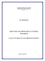 Phân tích tài chính công ty Cổ phần Viwaseen3 : Luận văn ThS. Kinh doanh và quản lý: 60 34 02 01