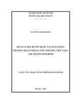 Quản lý rủi ro tín dụng tại Ngân hàng thương mại cổ phần công thương Việt Nam - Chi nhánh Ninh Bình: Luận văn ThS. Kinh doanh và quản lý: 60 34 02 01