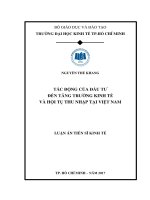 Tác động của đầu tư đến tăng trưởng kinh tế và hội tụ thu nhập tại việt nam 
