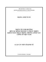 Nhân tố ảnh hưởng đến sự hình thành và phát triển kiểm toán hoạt động trong lĩnh vực công ở việt nam , luận án tiến sĩ 
