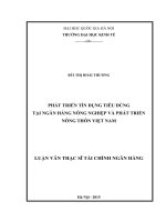 Phát triển tín dụng tiêu dùng tại Ngân hàng nông nghiệp và phát triển nông thôn Việt Nam : Luận văn ThS. Kinh doanh và quản lý: 60 34 02 01