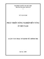 Phát triển nông nghiệp bền vững ở Việt Nam : Luận văn ThS. Kinh tế: 60 31 01