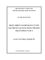 Hoàn thiện cơ chế quản lý vốn tập trung tại ngân hàng TMCP nam á 