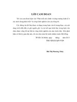 Phát triển tài chính và tăng trưởng kinh tế ở các nước đang phát triển , luận văn thạc sĩ 