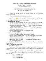 1. Hop dong dich vu bao ve MTC-BD