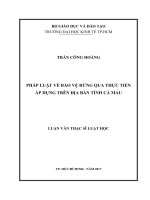 Pháp luật về bảo vệ rừng qua thực tiễn áp dụng trên địa bàn tỉnh cà mau 