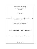 Giải pháp đẩy mạnh quan hệ thương mại Việt Nam - Brazil : Luận văn ThS. Kinh tế: 60 31 07