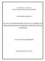 Các yếu tố ảnh hưởng đến năng suất lao động của nhân viên bán hàng ngành hàng tiêu dùng nhanh tại tp  hồ chí minh 