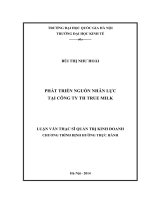 Phát triển nguồn nhân lực tại Công ty TH True Milk : Luận văn ThS. Kinh doanh và quản lý: 60 34 05