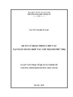 Quản lý hoạt động cho vay tại Ngân hàng Hợp tác chi nhánh Phú Thọ : Luận văn ThS. Kinh doanh và quản lý: 60 34 04 10