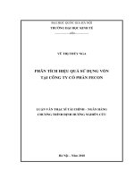 Phân tích hiệu quả sử dụng vốn tại Công ty Cổ phần Fecon :  Luận văn ThS. Tài chính - Ngân hàng - Bảo hiểm: 603402