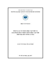 Pháp luật về nhãn hiệu tập thể và giải pháp phát triển nhãn hiệu tập thể trên địa bàn tỉnh cà mau 
