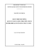 Hoàn thiện hệ thống quản lý chất lượng theo tiêu chuẩn ISO 9001,2008 tại ngân hàng thương mại cổ phần á châu 