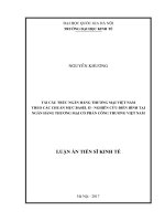 Tái cấu trúc ngân hàng thương mại Việt Nam theo các chuẩn mực Basel II - Nghiên cứu điển hình tại Ngân hàng Thương mại Cổ phần Công thương Việt Nam