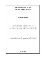 Phân tích tài chính Công ty cổ phần tập đoàn Thủy hải sản Minh Phú : Luận văn ThS. Kinh doanh và quản lý: 60 34 02 01