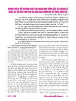 Trách nhiệm bồi thường thiệt hại ngoài hợp đồng của cơ sở bán lẻ rượu bia với việc hạn chế tai nạn giao thông do sử dụng rượu bia