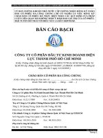 BẢN CÁO BẠCH CÔNG TY CỔ PHẦN ĐẦU TƯ KINH DOANH ĐIỆN LỰC THÀNH PHỐ HỒ CHÍ MINH