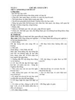 giáo án HĐTN lớp 1 sách vì sự bình đẳng trong giáo dục