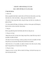 giáo án mĩ thuật lớp 1 bộ sách cánh diều cả năm