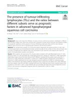 The presence of tumour-infiltrating lymphocytes (TILs) and the ratios between different subsets serve as prognostic factors in advanced hypopharyngeal squamous cell carcinoma