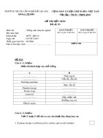 Đề thi hết môn Tiếng Anh chuyên ngành May thời trang (Mã đề 01)