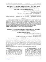 Tác động của việc thu hồi đất cho mục đích phát triển công nghiệp đến sinh kế người dân trên địa bàn thị xã Bến Cát, tỉnh Bình Dương