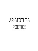 Lecture Literary criticism - Lecture 5: Aristotle’s poetics