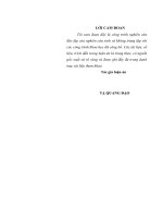 luận án tiến sĩ nâng cao bản lĩnh chính trị của đội ngũ giảng viên trẻ ở các trường sĩ quan quân đội giai đoạn hiện nay