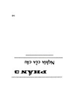 Hướng dẫn một số phương pháp viết đúng ngữ pháp tiếng Anh: Phần 2
