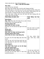 giáo án đạo đức lớp 1 sách chân trời sáng tạo cả năm