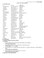 Bài tập học kỳ 1 môn Tiếng Anh 6