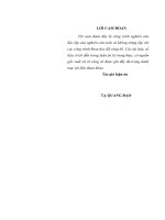 Nâng cao bản lĩnh chính trị của đội ngũ giảng viên trẻ ở các trường sĩ quan quân đội giai đoạn hiện nay 
