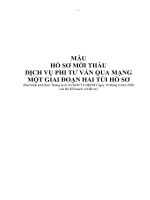 MẪU HỒ SƠ MỜI THẦU DỊCH VỤ PHI TƯ VẤN QUA MẠNG MỘT GIAI ĐOẠN HAI TÚI HỒ SƠ