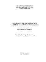 TRƯỜNG ĐẠI HỌC CẦN THƠ KHOA THỦY SẢN.NGHIÊN CỨU ĐẶC ĐIỂM HÌNH THÁI GIẢI PHẨU CỦA CÁ NGÁT (Plotosus canius)