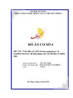 ĐỀ TÀI : Tìm hiểu về API chrome puppeteer và headless browser để ứng dụng vào cào dữ liệu và kiểm thử . Giảng viên hướng dẫn : ThS. NGUYỄN VĂN BÌNH