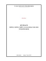 KẾ HOẠCH PHÒNG CHỐNG THIÊN TAI GIAI ĐOẠN 2021 - 2025 TỈNH BÌNH ĐỊNH
