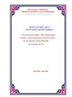 BÁO CÁO KẾT QUẢ SÁNG KIẾN KINH NGHIỆM: “Một số phương pháp hình học cơ bản để giải quyết các bài toán Tin học”