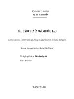 BÁO CÁO CHUYÊN NGÀNH ĐÀO TẠO. Dùng cho việc rà soát các đơn vị đào tạo trình độ thạc sĩ Tên chuyên ngành đào tạo : Phát triển nông thôn