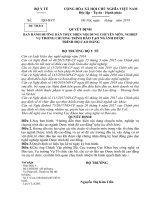 HƯỚNG DẪN THỰC HIỆN NỘI DUNG CHUYÊN MÔN, NGHIỆPVỤ TRONG CHƯƠNG TRÌNH ĐÀO TẠO NGÀNH DƯỢC TRÌNH ĐỘ CAO ĐẲNG