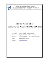 HỒ SƠ NĂNG LỰC CÔNG TY CỔ PHẦN TIN HỌC TÂN DÂN
