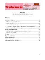 BÁO CÁO: THỊ TRƯỜNG KHOAI TÂY THÁNG 6/2008