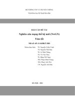 BÁO CÁO ĐỀ TÀI: NGUYÊN CỨU MẠNG THẾ HỆ MỚI (NwGN)