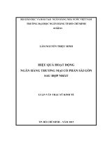 Hiệu quả hoạt động ngân hàng thương mại cổ phần sài gòn sau hợp nhất 