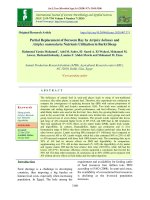Partial replacement of berseem hay by Atriplex halimus and Atriplex nummularia nutrients utilization in barki sheep