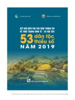 Vấn đề kinh tế xã hội của 53 dân tộc thiểu số Việt Nam 2019: Phần 1