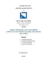 PHÂN TÍCH BÁO CÁO TÀI CHÍNH CÔNG TY CP VICEM VẬT LIỆU XÂY DỰNG ĐÀ NẴNG