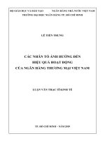 Các nhân tố ảnh hưởng đến hiệu quả hoạt động của ngân hàng thương mại việt nam 