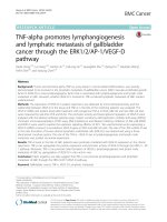 TNF-alpha promotes lymphangiogenesis and lymphatic metastasis of gallbladder cancer through the ERK1/2/AP-1/VEGF-D pathway
